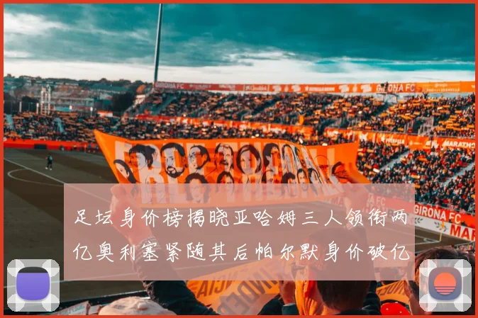 足坛身价榜揭晓亚哈姆三人领衔两亿奥利塞紧随其后帕尔默身价破亿