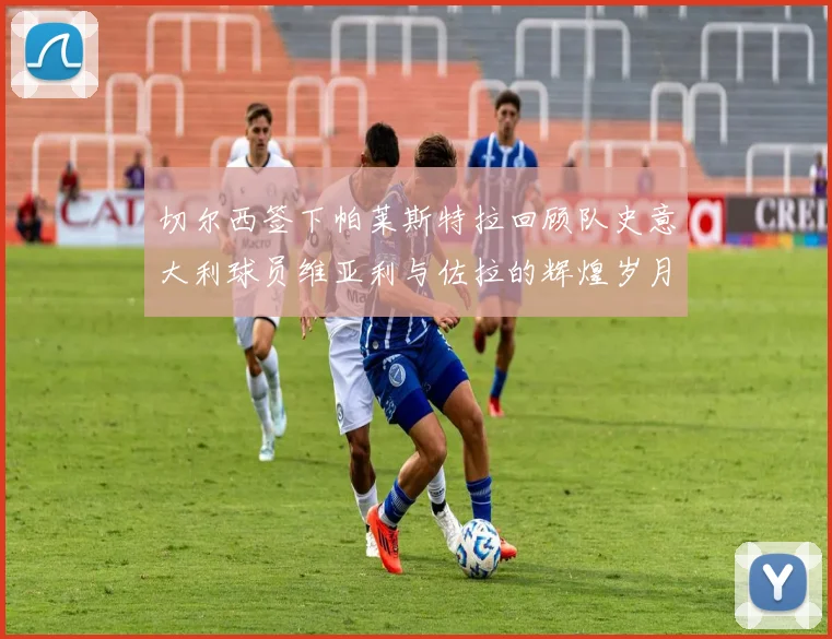 切尔西签下帕莱斯特拉回顾队史意大利球员维亚利与佐拉的辉煌岁月