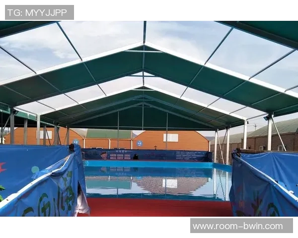 武汉体育中心改建为八万座专业球场助力城市体育发展与赛事承办